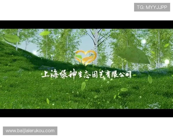 九游集团ag平台安全保障措施详解保障玩家资金与信息安全 九游集团ag平台安全保障措施详解保障玩家资金与信息安全