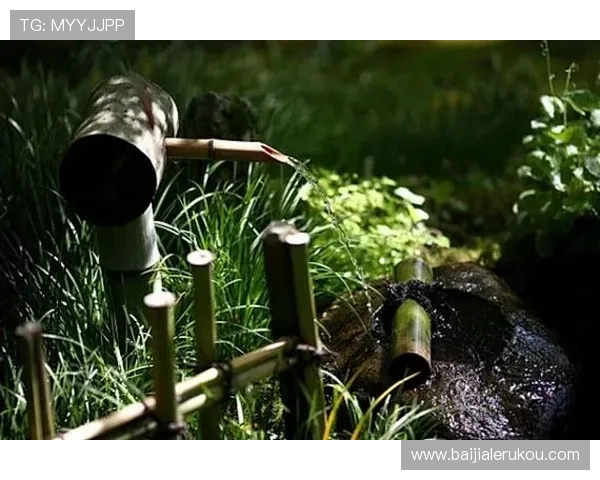 K8视讯官网的技术保障与安全措施全面解析保障用户权益